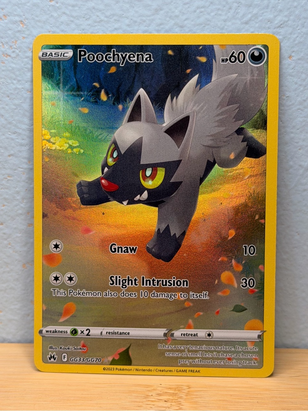 Poochyena GG33/GG70 Crown Zenith Galarian Gallery Ultra Rare Pokemon Card
